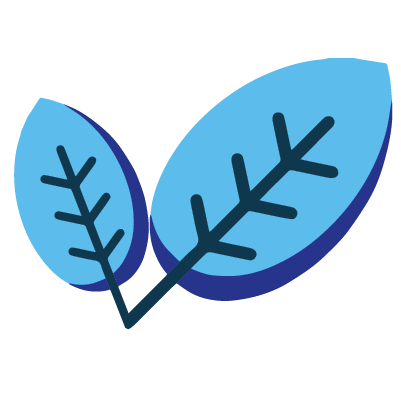 leaves
